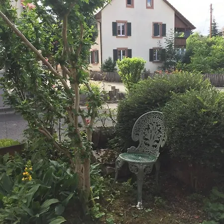 Cozy Artist Loft Near Black Forest And Basel ستينن